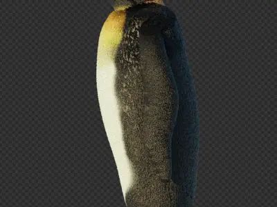 free penguin model Free low-poly 3D model