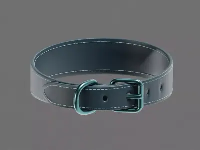Dog Collar  Low-poly 3D model purchase