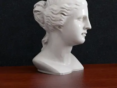 Bust Venera Godless woman  3D print model