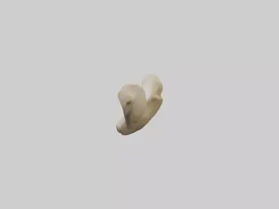 Camel Femur Low-poly 3D model