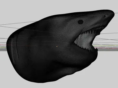 Shark head Low-poly 3D model
