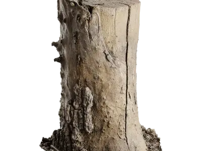  Medium Cut Bare Split Stump Model 