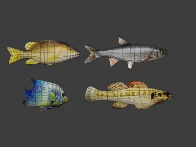 Fish collection low-poly fishes Low-poly 3D model