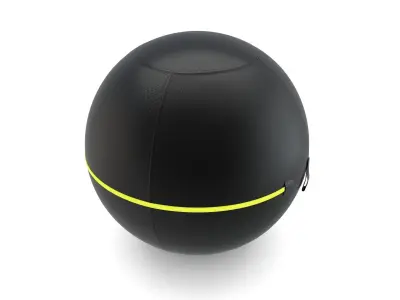 Technogym Ball 3D model