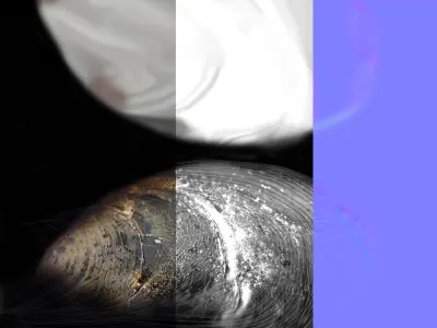Mussel 3D model