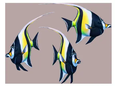 Fish Zanclus Cornutus Low-poly 3D model