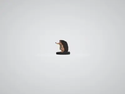 Cute animated movie style hedgehog  3D model