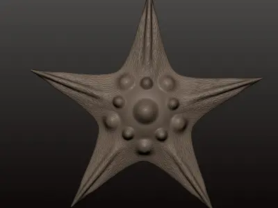 Star fish 01 Free 3D print model