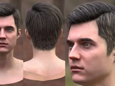 Mans Head 3D model