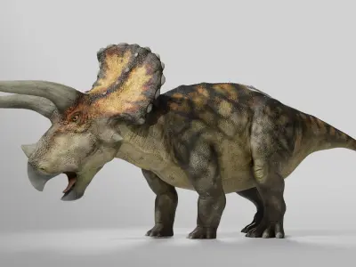  Triceratops Rig Low-poly 3D model