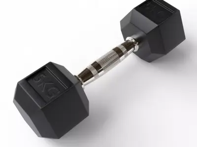 Precision Hex Dumbbell  5kg Steel Strength 3D print model purchase