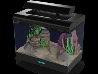 Animal accessories Fish Tank 3D model