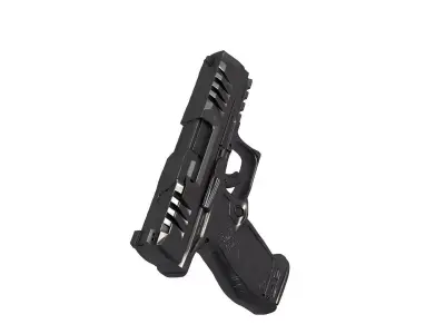 Walther pdp 3D print model