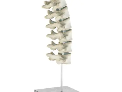 medical equipment set 3D model