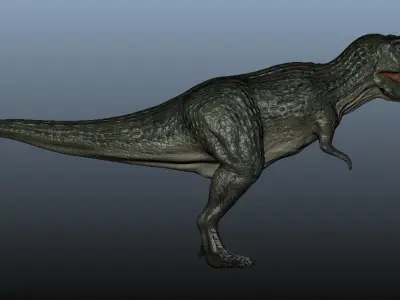 Tyrannosaurus Rex 3D model 7