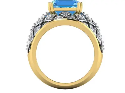 Antique and Antique Rings 3D print model