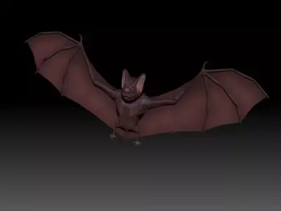 3D Bat Low-poly 3D model