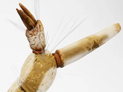 Mosquito larvae 3D model