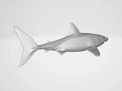 Shark 3D model purchase