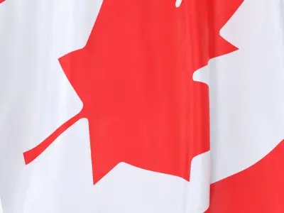  Canada Cloth Flag Wall Mount Animated 