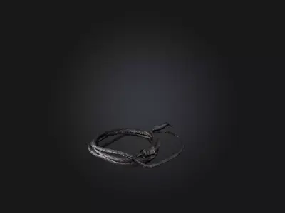 Whip model Low-poly 3D model
