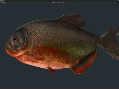 Piranha Low-poly 3D model