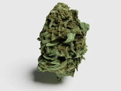 Cannabis Bud 07 3D model