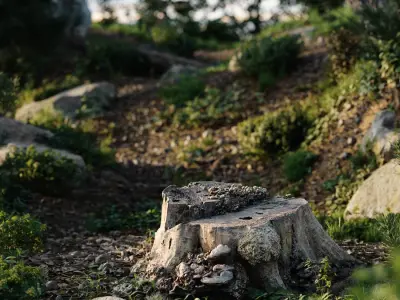  Short Cut Bare Stump Model 