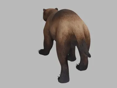 Wolverine 3D model