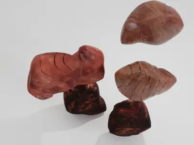Cooked Frozen And Raw fish 3D model