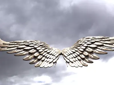 Serafim Wings 7 3D model