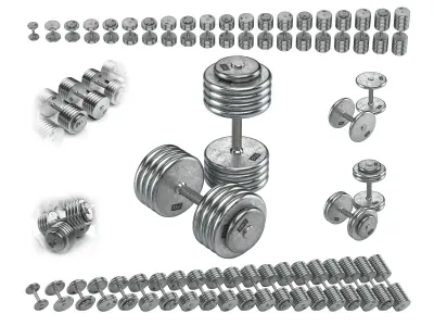 A set of 20 dumbbells from 5 to 100 kg 3D model