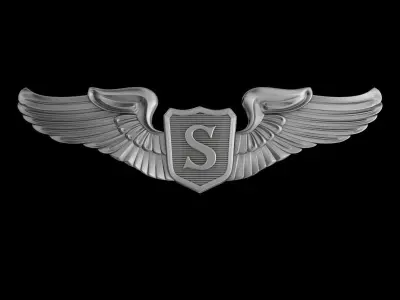 USAAF Service Pilot Wings Badge 3D model