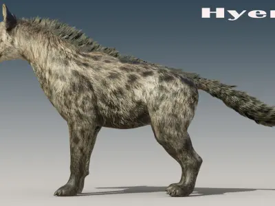Hyena Rigged Low-poly 3D model