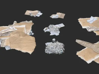 Paper Debris Set 1 Low-poly 3D model