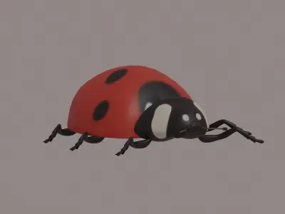 Ladybug 3D model order