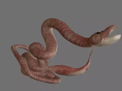 Birthing Snake 3D file Free 3D print model