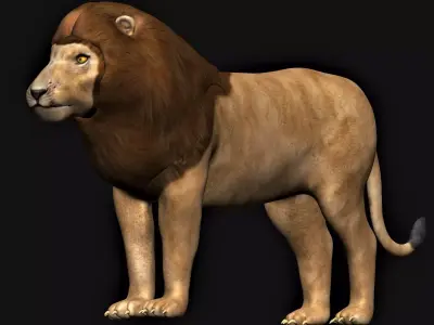 Lion low polygon 3D model