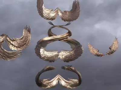 Wind Elements Wings Collection 3D model