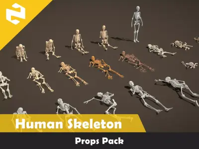 Props Pack - Human Skeleton Low-poly 3D model