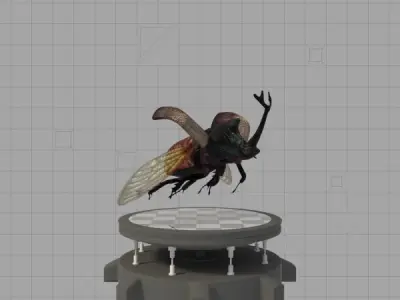 Insects Pack 2 3D model