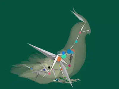 Cockatiel Parrot Bird Free low-poly 3D model