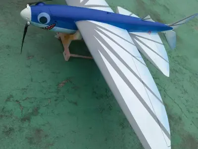 FUN FLY RC FLYING FISH GLIDER WINGSPAN 1078MM Free 3D print model