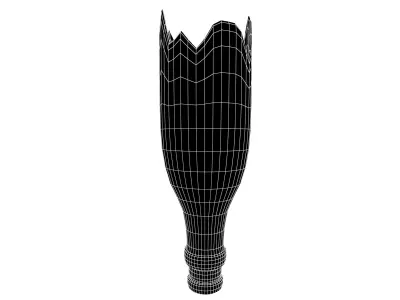 Broken Bottle v1 004 Low-poly 3D model