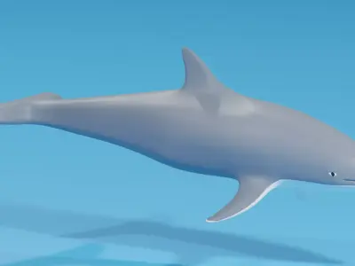 Cartoon Dolphin 3D model buy