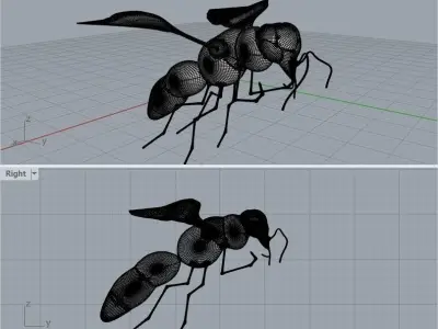Wasp ruby-tailed 3D model
