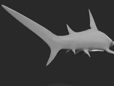hammerhead shark base mesh obj 3D model