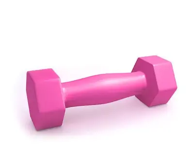 Fitness weight 3D model
