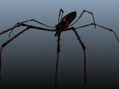 Water spider   Low-poly 3D model