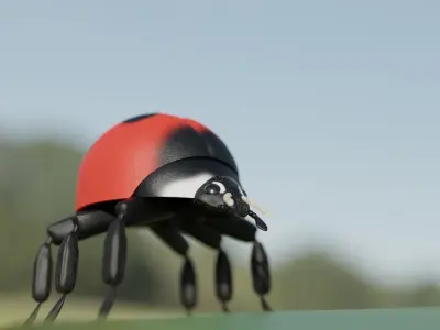Ladybug Free 3D model